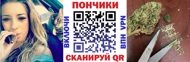Виды наркотиков купить Богучар ГАШИШ Амфетамин Псилоцибиновые грибы Мефедрон Конопля КОКАИН