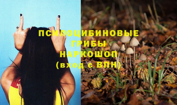 дмт Алексин