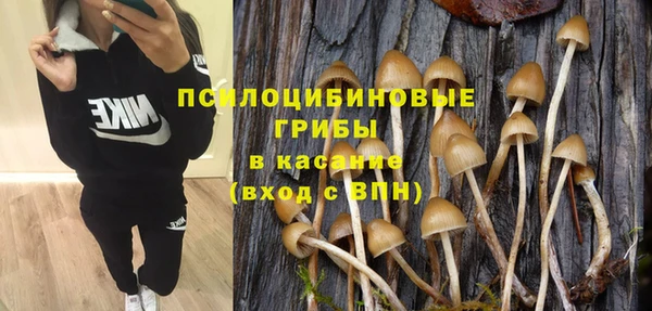 кристаллы Алзамай